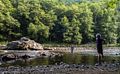 Joyce keeping an eye on Matthew.<br />Along the Deerfield River.<br />July 26, 2015 - Charlemont, Vermont