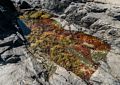 Tidal pool at Schooner Head Overlook.<br />Sept. 18, 2015 - Acadia National Park, Mt. Desert Island, Maine.