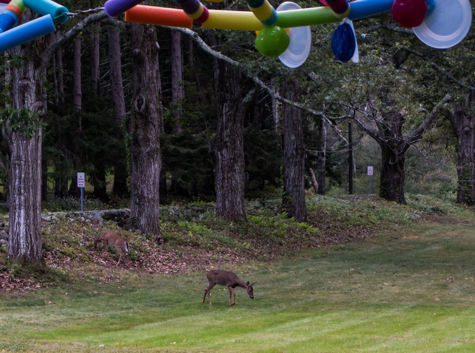 A boy pointed out the deer to Joyce and me as we were checking out the artwork.<br />Sep. 22, 2015 - Maudslay State Park, Newburyport, Massachusetts.