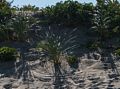 Beachgrass, wind, and sunshine.<br />Sep. 24, 2015 - Parker River National Wildlife Refuge, Plum Island, Massachusetts.