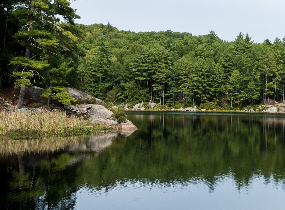 Round Pond.<br />A six mile hike with Joyce.<br />Sep. 25, 2015 - Pawtuckaway State Park, Nottingham, New Hampshire.
