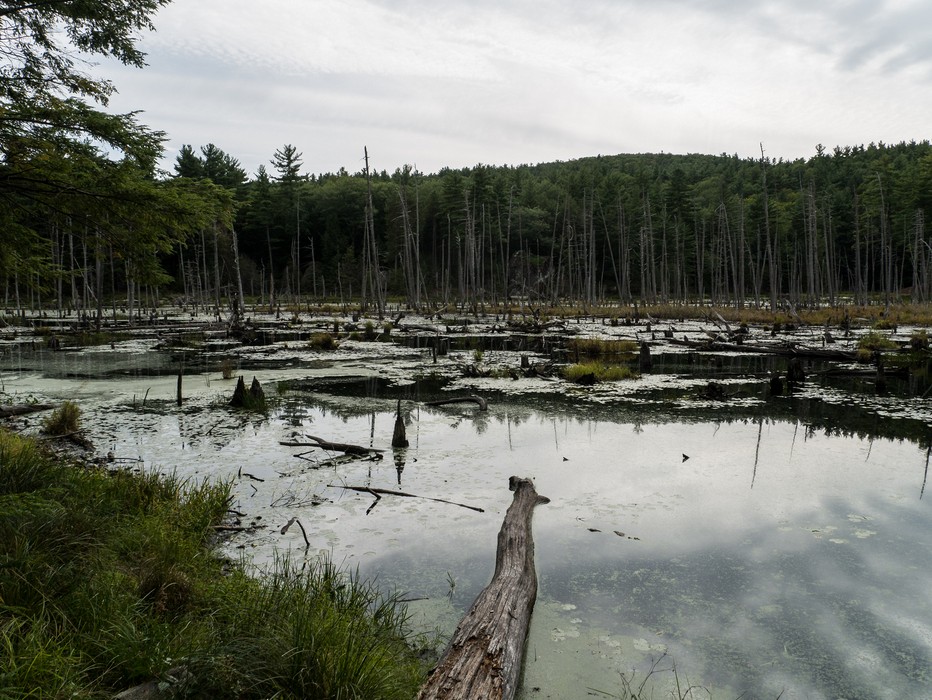 A six mile hike with Joyce.<br />Sep. 25, 2015 - Pawtuckaway State Park, Nottingham, New Hampshire.