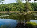 A six mile hike with Joyce.<br />Sep. 25, 2015 - Pawtuckaway State Park, Nottingham, New Hampshire.