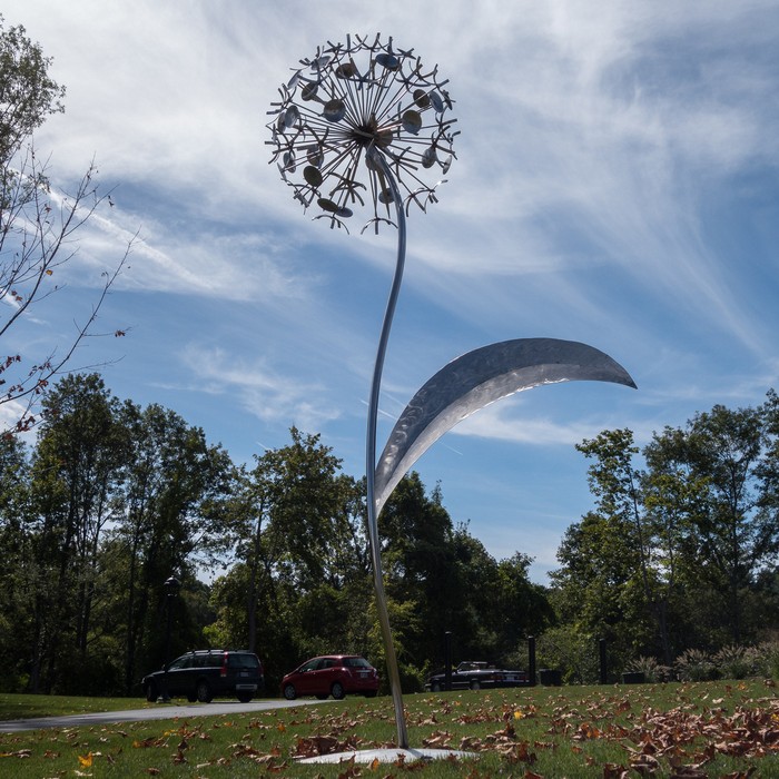 Gints Grinbergs: "Winter Weed Dandelion".<br />Sep. 26, 2015 - Pingree School, Hamilton, Massachusetts
