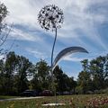 Gints Grinbergs: "Winter Weed Dandelion".<br />Sep. 26, 2015 - Pingree School, Hamilton, Massachusetts