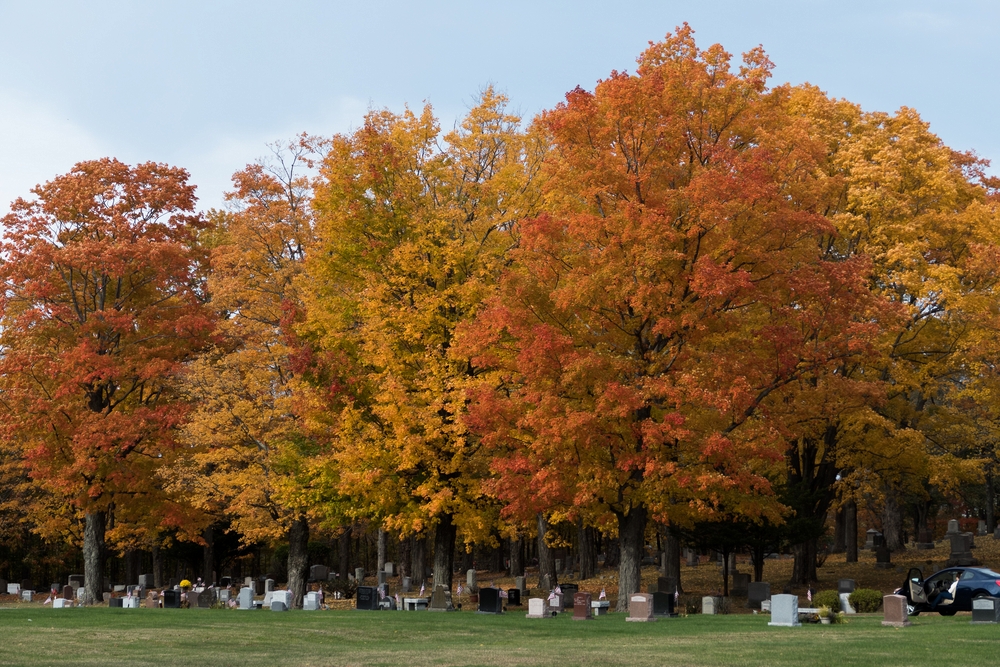 Oct. 22, 2015 - Locust Grove Cemetery, Merrimac, Massachusetts.