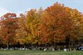 Oct. 22, 2015 - Locust Grove Cemetery, Merrimac, Massachusetts.
