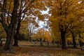 Oct. 22, 2015 - Locust Grove Cemetery, Merrimac, Massachusetts.