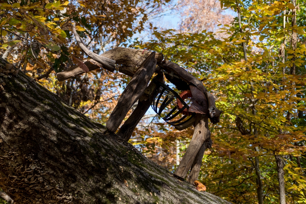 Art installation along the trail.<br />Oct. 30, 2015 - Lake Roland Park, Towson, Maryland.