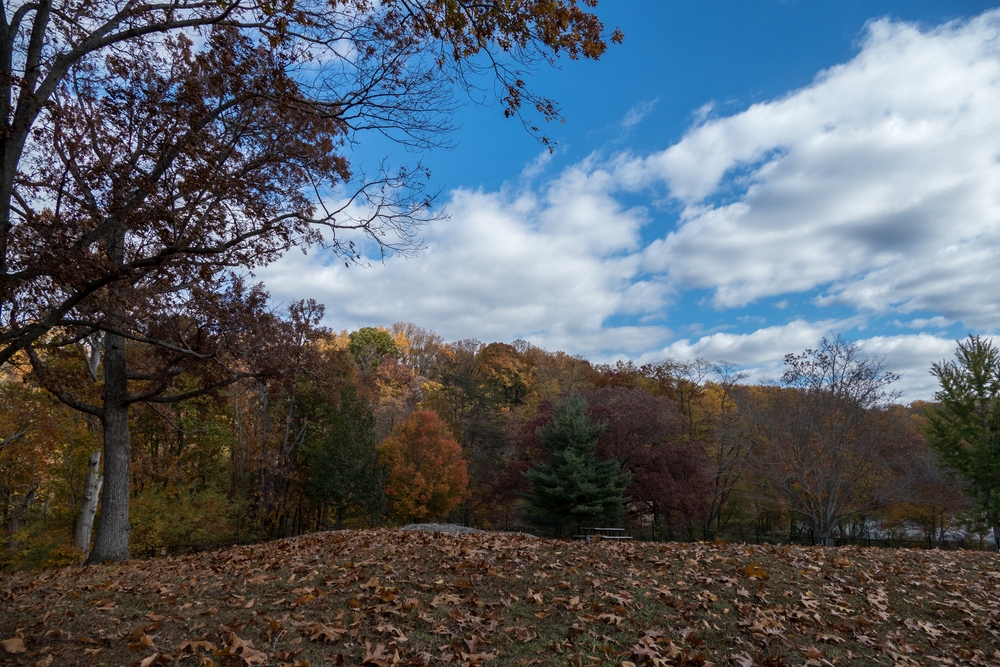 Fall foliage at the park.<br />Oct. 30, 2015 - Lake Roland Park, Towson, Maryland.