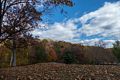 Fall foliage at the park.<br />Oct. 30, 2015 - Lake Roland Park, Towson, Maryland.