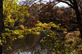 Fall foliage and lake.<br />Oct. 30, 2015 - Lake Roland Park, Towson, Maryland.