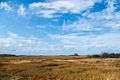 Meadow/marsh across from parking lot #6.<br />Nov. 6, 2015 - Parker River National Wildlife Refuge, Plum Island, Massachusetts.