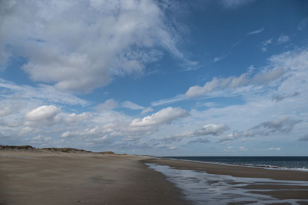 Nov. 6, 2015 - Parker River National Wildlife Refuge, Plum Island, Massachusetts.