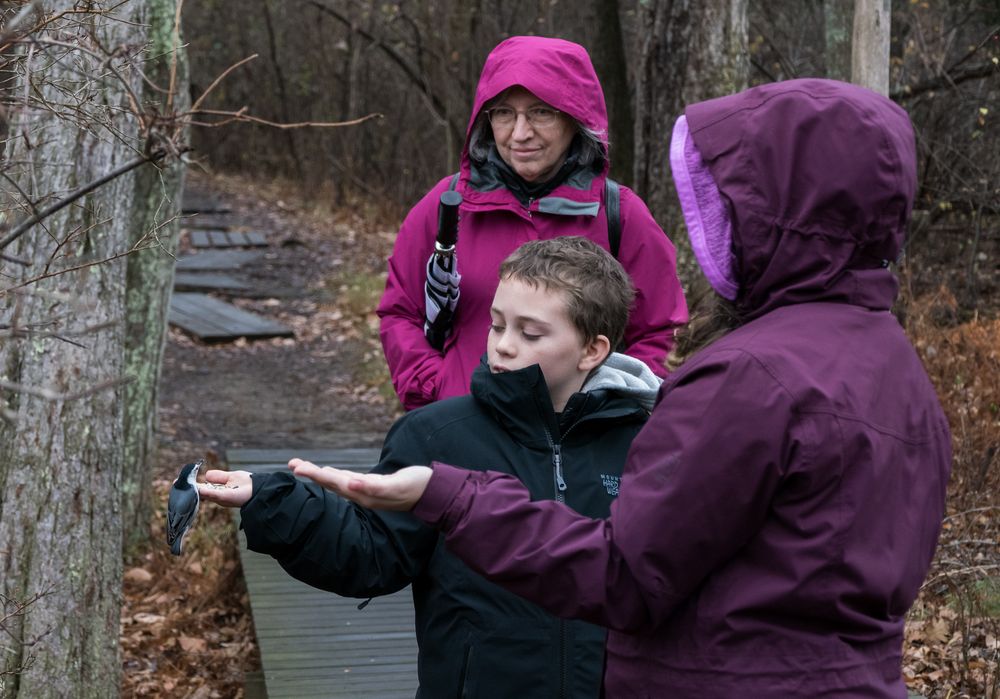Matthew feeding a nuthatch with Joyce and Miranda looking on.<br />Nov. 22, 2015 - Ipswich River Wildlife Sanctuary, Topsfield, Massachusetts.