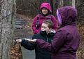 Matthew feeding a nuthatch with Joyce and Miranda looking on.<br />Nov. 22, 2015 - Ipswich River Wildlife Sanctuary, Topsfield, Massachusetts.