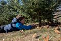 Matthew cutting our Christmas tree.<br />Dec. 5, 2015 - MerriHill Tree Farm, Merrimac, Massachusetts.