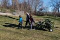 Matthew, Joyce, and Miranda carting our Christmas tree to the office.<br />Dec. 5, 2015 - MerriHill Tree Farm, Merrimac, Massachusetts.