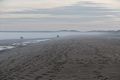 A walk with Joyce with the temperature in the 50s.<br />Dec. 12, 2015 - Parker River National Wildlife Refuge, Plum Island, Massachusetts.