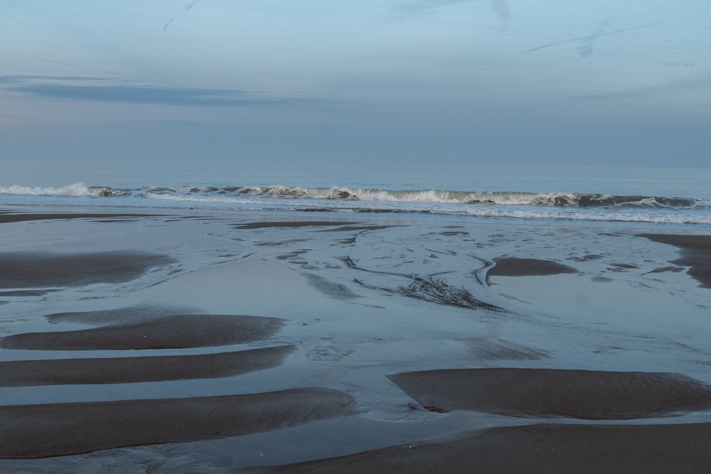 A walk with Joyce with the temperature in the 50s.<br />Dec. 12, 2015 - Parker River National Wildlife Refuge, Plum Island, Massachusetts.