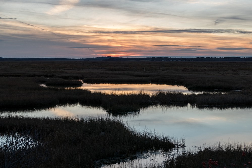 A walk with Joyce with the temperature in the 50s.<br />Dec. 12, 2015 - Parker River National Wildlife Refuge, Plum Island, Massachusetts.