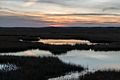 A walk with Joyce with the temperature in the 50s.<br />Dec. 12, 2015 - Parker River National Wildlife Refuge, Plum Island, Massachusetts.