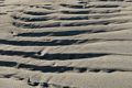 Pattern in the beach.<br />Dec. 25, 2015 - Parker River National Wildlife Refuge, Plum Island, Massachusetts.