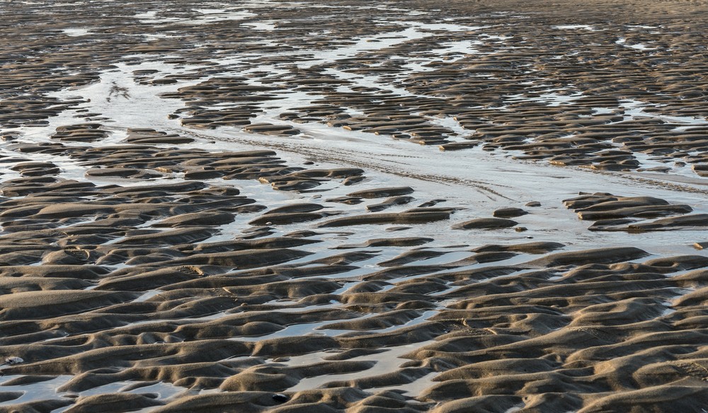 Patterns in the beach.<br />Dec. 25, 2015 - Parker River National Wildlife Refuge, Plum Island, Massachusetts.