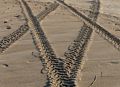 Tire tracks on the beach.<br />Dec. 25, 2015 - Parker River National Wildlife Refuge, Plum Island, Massachusetts.