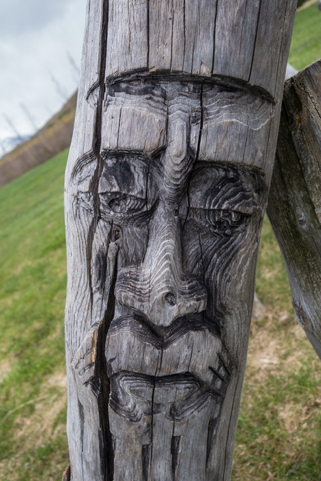 Kjarnaskgur Woods.<br />May 26, 2015 - Akureyri, Iceland.