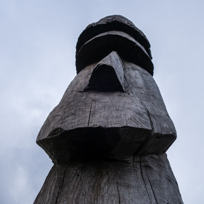 Kjarnaskgur Woods.<br />May 26, 2015 - Akureyri, Iceland.