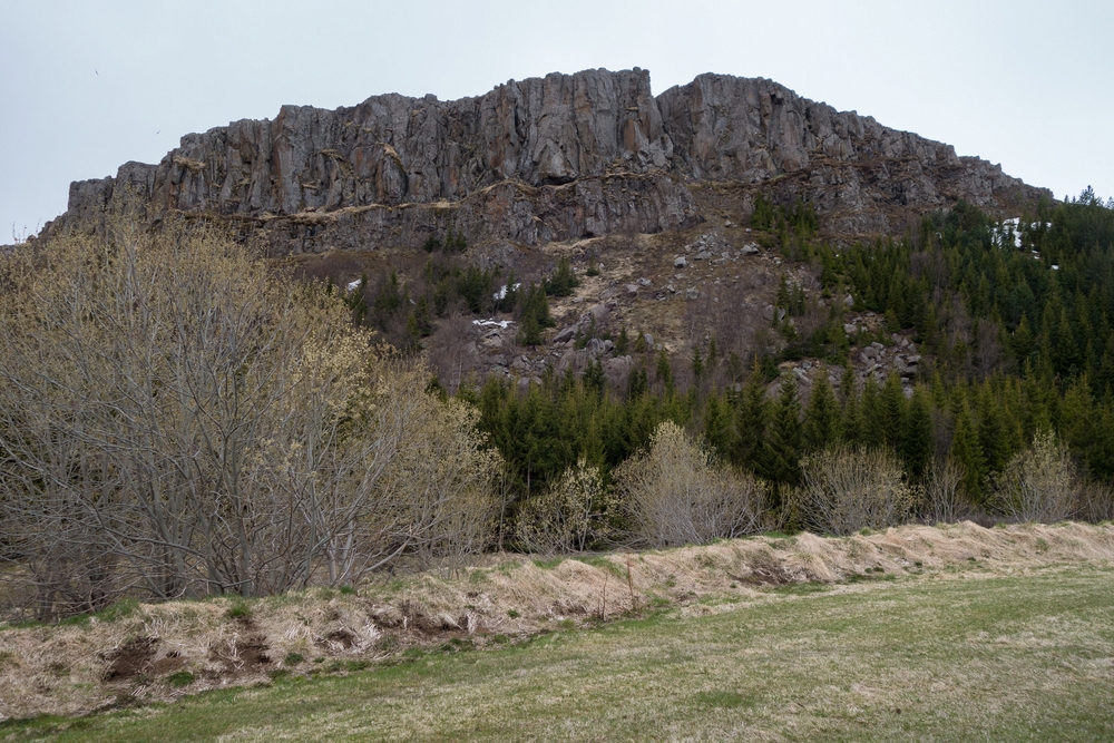 Kjarnaskgur Woods.<br />May 26, 2015 - Akureyri, Iceland.