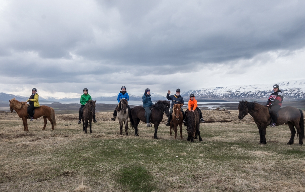 The whole group: Anna, Gujn, Dagbjrt, Benna, Egils, Marks, and Inga.<br />Horseback riding with Plar Hestar.<br />May 30, 2015 - Grtubakki, Iceland.