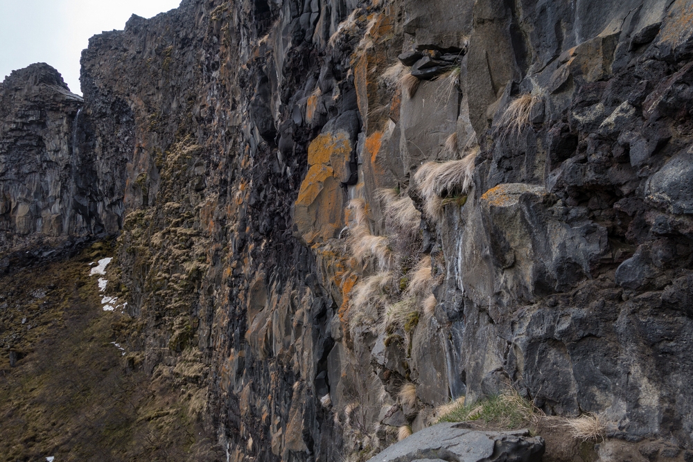 June 1, 2015 - Ásbyrgi, Iceland.