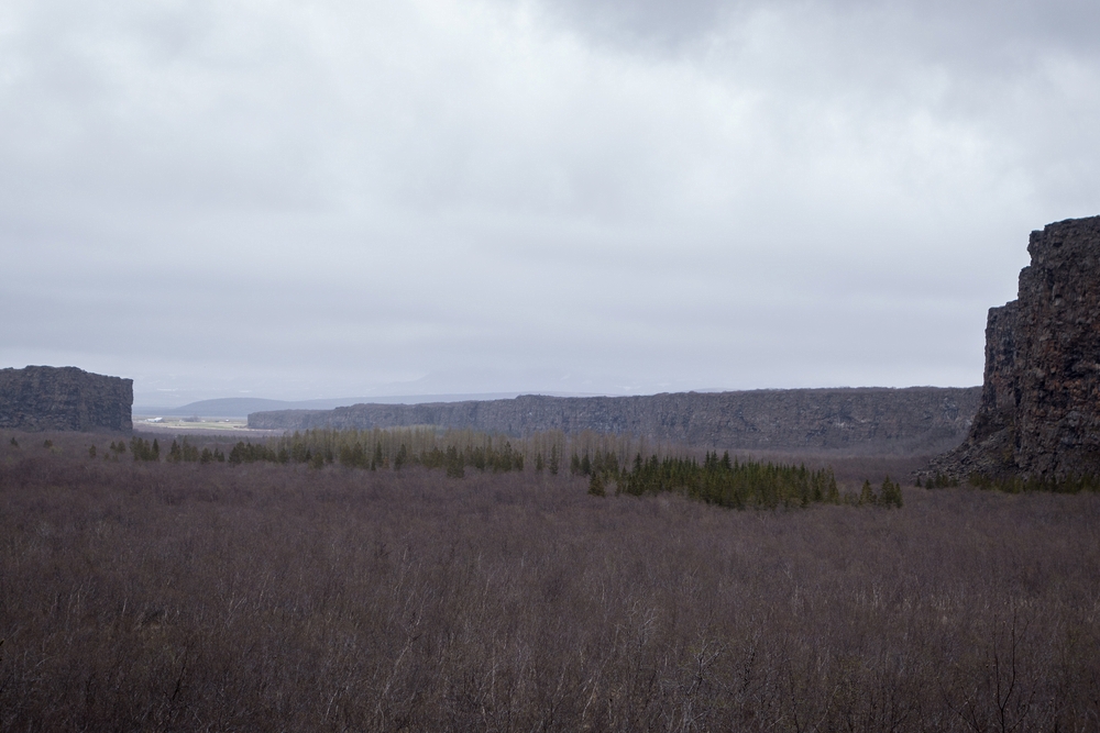 June 1, 2015 - sbyrgi, Iceland.
