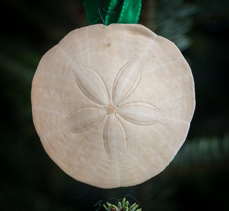 Christmas ornaments.<br />Jan. 7, 2016 - At home in Merrimac, Massachusetts.