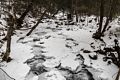 Short hike along Chickenboro Brook.<br />Jan. 31, 2016 - Thornton, New Hampshire