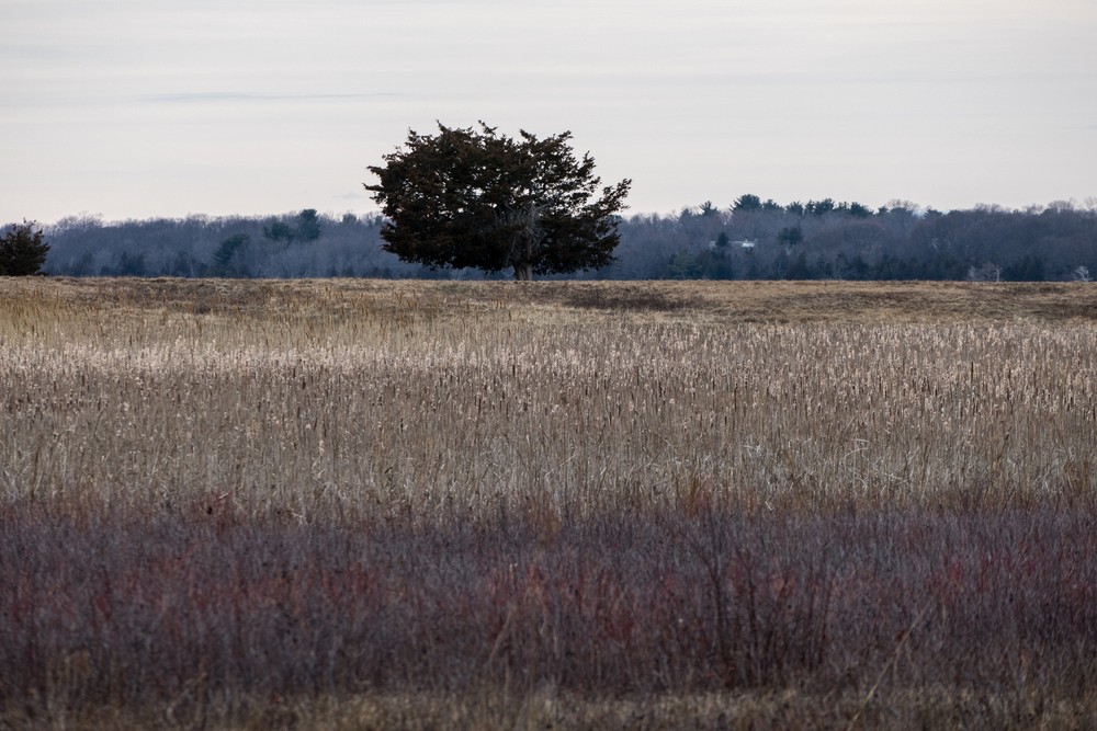 Feb. 4, 2016 - Parker River National Wildlife Refuge, Plum Island, Massachusetts.