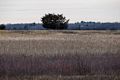 Feb. 4, 2016 - Parker River National Wildlife Refuge, Plum Island, Massachusetts.