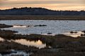 Feb. 4, 2016 - Parker River National Wildlife Refuge, Plum Island, Massachusetts.
