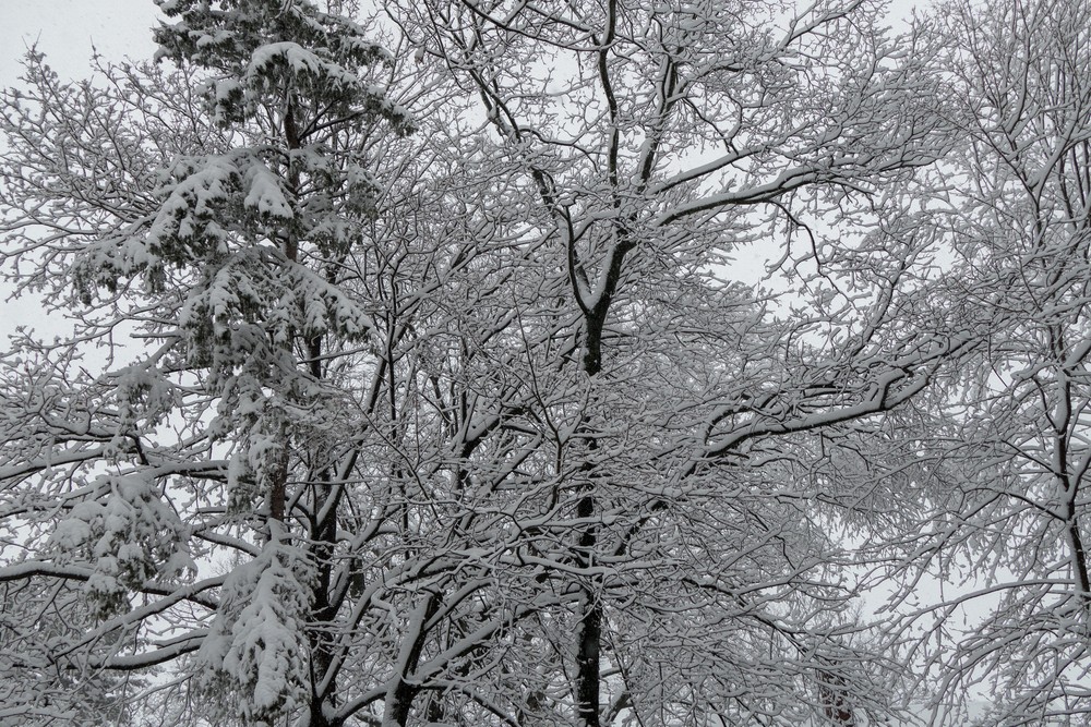 Feb. 5, 2016 - At home in Merrimac, Massachusetts.