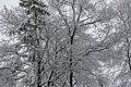 Feb. 5, 2016 - At home in Merrimac, Massachusetts.
