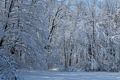 Day after a snowstorm.<br />Feb. 6, 2016 - Maudslay State Park, Newburyport, Massachusetts.