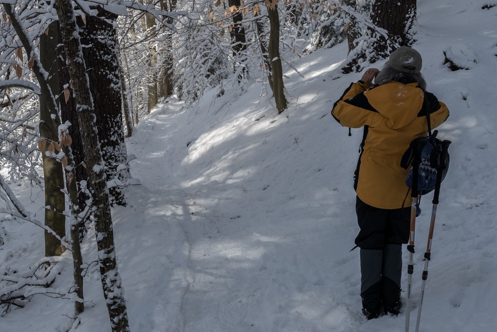 Joyce using her cell phone to record the scenery and forward it to the kids.<br />Day after a snowstorm.<br />Feb. 6, 2016 - Maudslay State Park, Newburyport, Massachusetts.