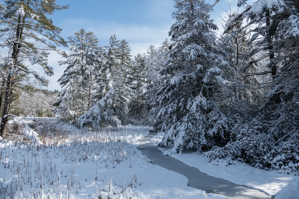 Day after a snowstorm.<br />Feb. 6, 2016 - Maudslay State Park, Newburyport, Massachusetts.