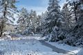 Day after a snowstorm.<br />Feb. 6, 2016 - Maudslay State Park, Newburyport, Massachusetts.