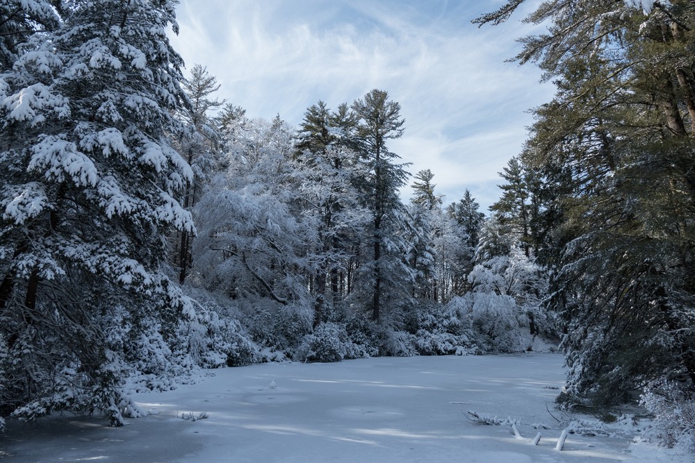 Day after a snowstorm.<br />Feb. 6, 2016 - Maudslay State Park, Newburyport, Massachusetts.