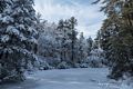 Day after a snowstorm.<br />Feb. 6, 2016 - Maudslay State Park, Newburyport, Massachusetts.