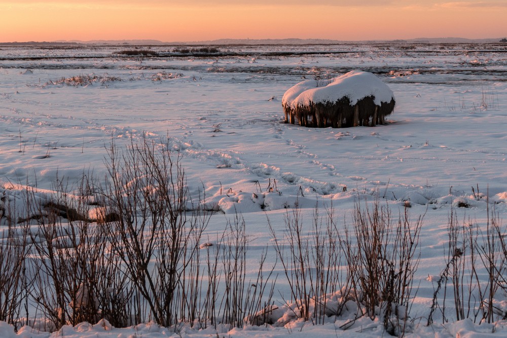 Staddle at sunrise.<br />Feb. 7, 2016 - Plum Island Turnpike, Newbury, Massachusetts.
