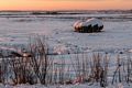 Staddle at sunrise.<br />Feb. 7, 2016 - Plum Island Turnpike, Newbury, Massachusetts.